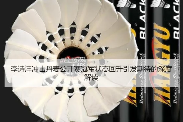李诗沣冲击丹麦公开赛冠军状态回升引发期待的深度解读